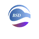 BSD Business Consulting logo