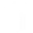 Instem logo
