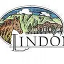 Lindon Manufacturing & Lab logo