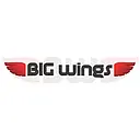 BIG WINGS LLC logo