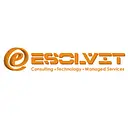 Esolvit Inc., logo
