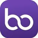 Bonded Filter Company logo