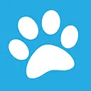 Success Today Staffing logo