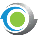 Stanadyne LLC logo