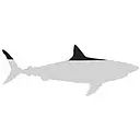 Megalodon Express logo