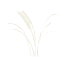 Twin Rivers Foods logo