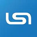 LSI SOLUTIONS® logo