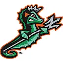 Norfolk Tides logo