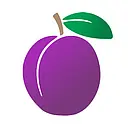 Plumlogix (MBE Salesforce Partner) logo