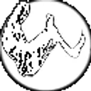 Wasabi Sushi and Bento logo