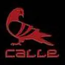 Calle Trucking LLC logo