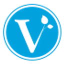 The Village Company logo