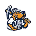 Midland Rockhounds logo
