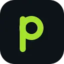 Paradox Media logo