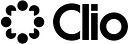 Themis Solutions logo