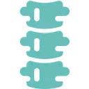 The Spine Hospital of Louisiana logo