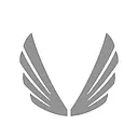 ASRV Sportswear logo