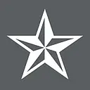 Blue Star logo