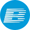 Brady Services logo