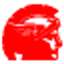 BKT USA INC logo