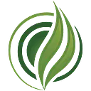 Verdes Cannabis logo
