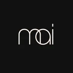 LEONEX Internet logo