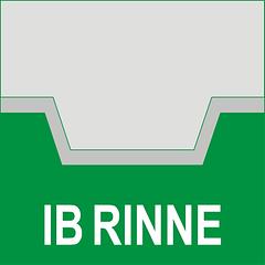 IB Rinne logo