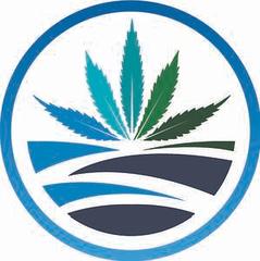 High Tide logo