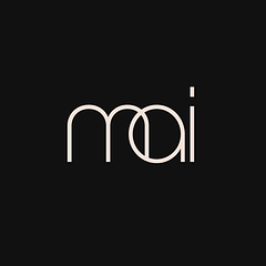 LEONEX Internet logo