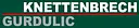 KNETTENBRECH + GURDULIC Service  & Co. KG logo