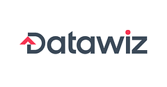 Datawiz logo