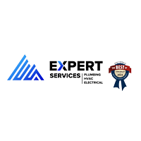 Expert Services logo