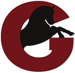 Pferdeklinik Grosswallstadt logo