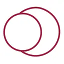 Dr. Schlotmann logo