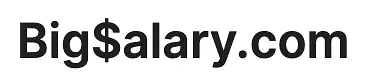 Big Salary logo