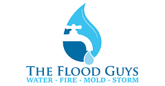 The Flood Guys logo