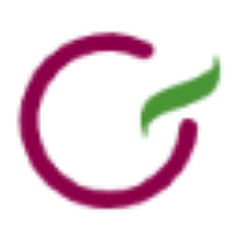 G-Service Management logo