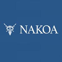 Nakoa Analytic Solutions logo