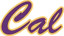 Caledonia Community School District logo