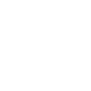 Vertical Scope Group logo