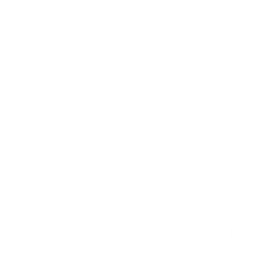 Vertical Scope Group logo