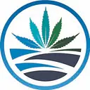 High Tide logo