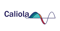 Caliola Engineering logo