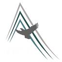 Summit Federal Services logo