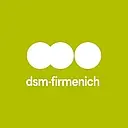 DSM logo