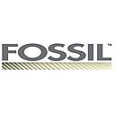 Fossil Landscape Construction logo