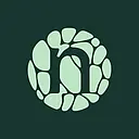 Novonesis logo