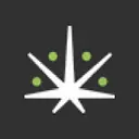 Vedaleaf logo