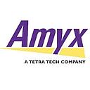 Amyx logo