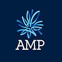 AMP logo